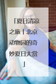 夏日清凉之旅丨北京动物园的奇妙夏日大赏