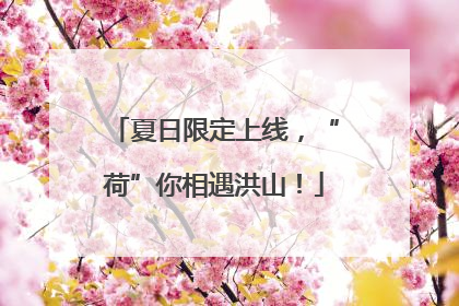 夏日限定上线，“荷”你相遇洪山！