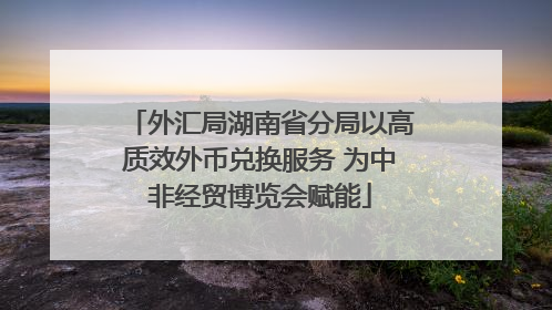 外汇局湖南省分局以高质效外币兑换服务 为中非经贸博览会赋能