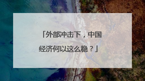 外部冲击下，中国经济何以这么稳？