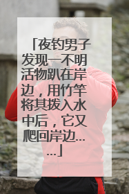 夜钓男子发现一不明活物趴在岸边，用竹竿将其拨入水中后，它又爬回岸边……