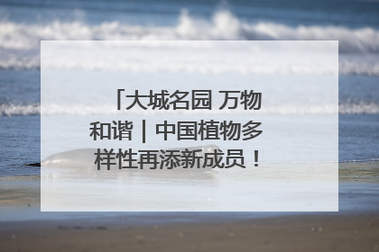 大城名园 万物和谐｜中国植物多样性再添新成员！它只在西藏墨脱
