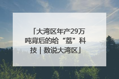 大湾区年产29万吨背后的给“荔”科技｜数说大湾区