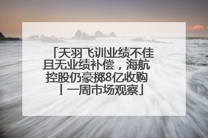 天羽飞训业绩不佳且无业绩补偿，海航控股仍豪掷8亿收购丨一周市场观察