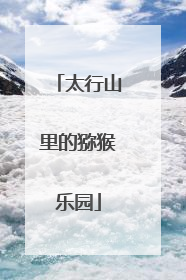 太行山里的猕猴乐园