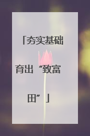 夯实基础育出“致富田”
