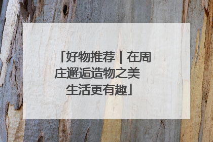 好物推荐｜在周庄邂逅造物之美 生活更有趣