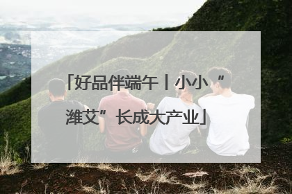 好品伴端午丨小小“潍艾”长成大产业
