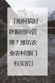 如何搞好秋粮田间管理？潍坊农业农村部门有实招