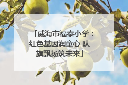 威海市福泰小学：红色基因润童心 队旗飘扬筑未来
