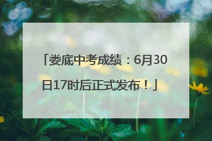 娄底中考成绩：6月30日17时后正式发布！