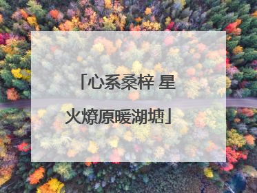 心系桑梓 星火燎原暖湖塘