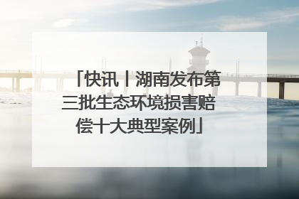 快讯丨湖南发布第三批生态环境损害赔偿十大典型案例