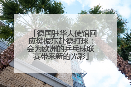 德国驻华大使馆回应樊振东赴德打球：会为欧洲的乒乓球联赛带来新的光彩