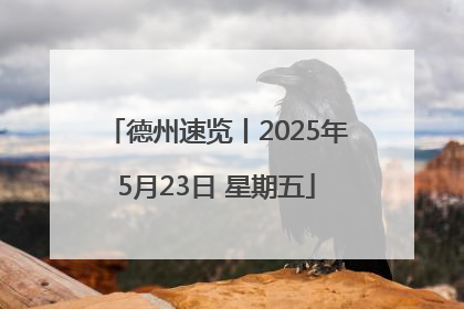 德州速览丨2025年5月23日 星期五