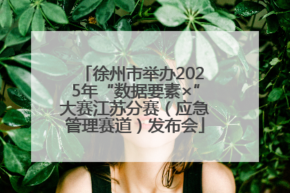 徐州市举办2025年“数据要素×”大赛江苏分赛（应急管理赛道）发布会