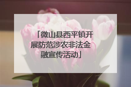 微山县西平镇开展防范涉农非法金融宣传活动