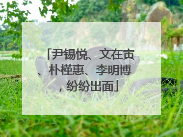 尹锡悦、文在寅、朴槿惠、李明博，纷纷出面