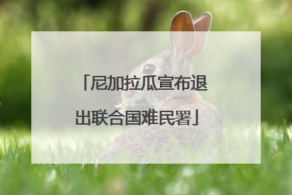 尼加拉瓜宣布退出联合国难民署
