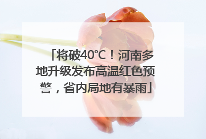 将破40℃！河南多地升级发布高温红色预警，省内局地有暴雨