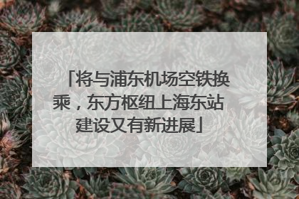 将与浦东机场空铁换乘，东方枢纽上海东站建设又有新进展