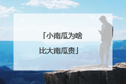 小南瓜为啥比大南瓜贵