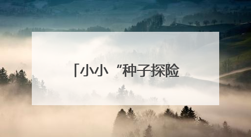 小小“种子探险家”开启艺术派对，湖南美术馆变身童话森林