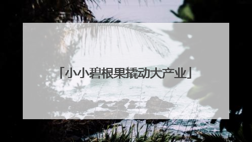 小小碧根果撬动大产业