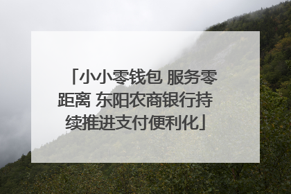 小小零钱包 服务零距离 东阳农商银行持续推进支付便利化