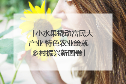 小水果撬动富民大产业 特色农业绘就乡村振兴新画卷