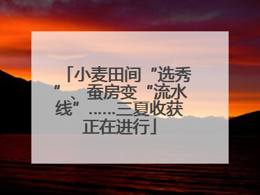 小麦田间“选秀”、蚕房变“流水线”……三夏收获正在进行