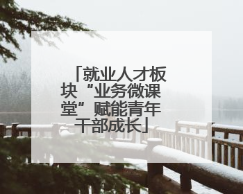 就业人才板块“业务微课堂”赋能青年干部成长