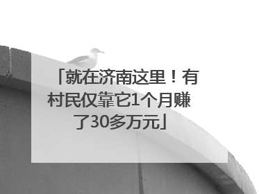 就在济南这里！有村民仅靠它1个月赚了30多万元