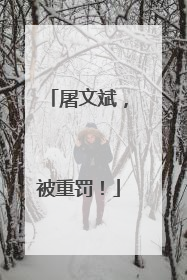 屠文斌，被重罚！