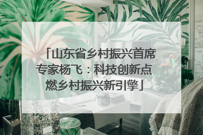 山东省乡村振兴首席专家杨飞：科技创新点燃乡村振兴新引擎
