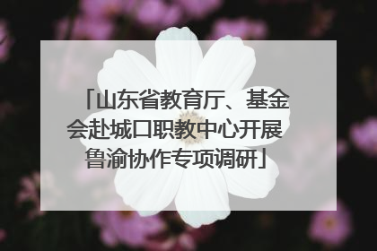 山东省教育厅、基金会赴城口职教中心开展鲁渝协作专项调研