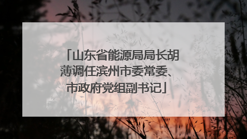 山东省能源局局长胡薄调任滨州市委常委、市政府党组副书记