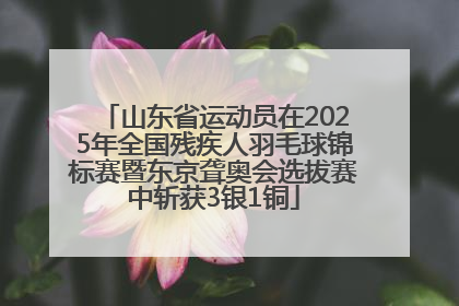 山东省运动员在2025年全国残疾人羽毛球锦标赛暨东京聋奥会选拔赛中斩获3银1铜
