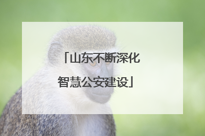 山东不断深化智慧公安建设