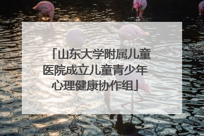 山东大学附属儿童医院成立儿童青少年心理健康协作组