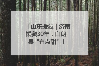 山东援藏|济南援藏30年,白朗县“有点甜”
