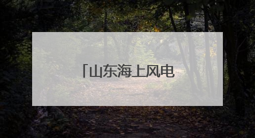 山东海上风电：一个项目落地一条产业链