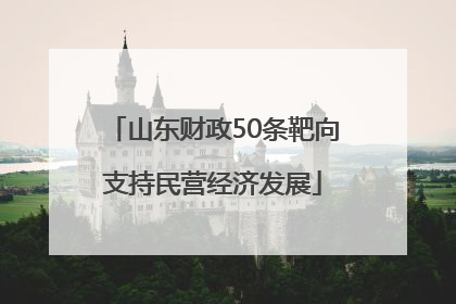山东财政50条靶向支持民营经济发展