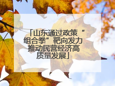 山东通过政策“组合拳”靶向发力 推动民营经济高质量发展