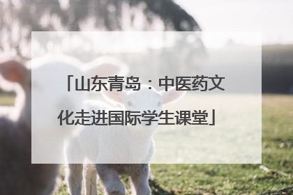 山东青岛：中医药文化走进国际学生课堂