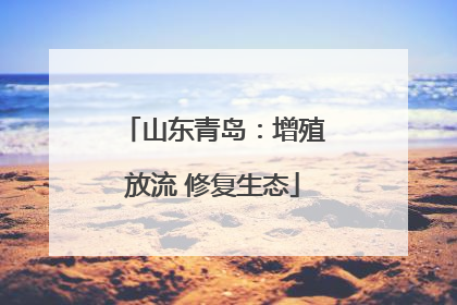 山东青岛：增殖放流 修复生态