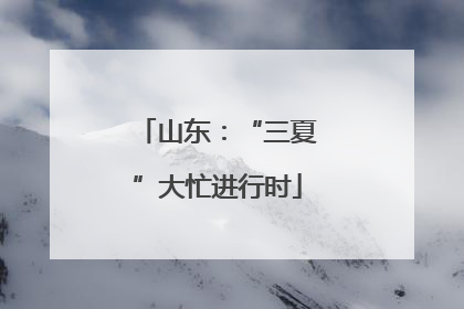 山东：“三夏”大忙进行时