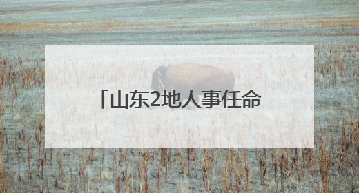 山东2地人事任命，涉县（区）长