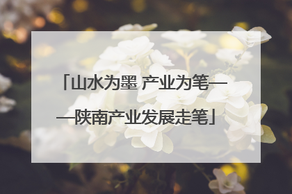 山水为墨 产业为笔——陕南产业发展走笔