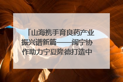 山海携手育良药产业振兴谱新篇——闽宁协作助力宁夏隆德打造中药材产业高地